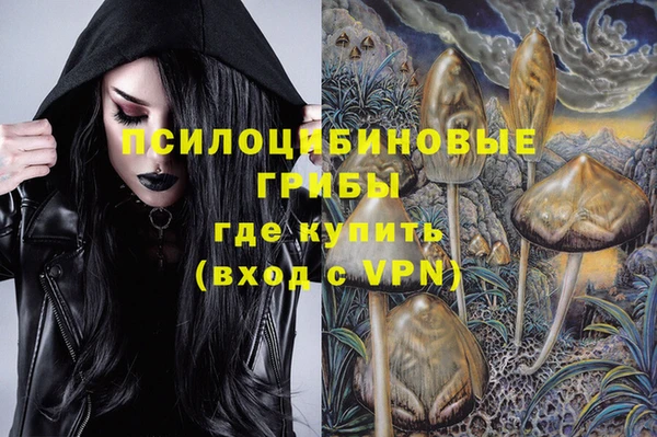МДМА Богданович