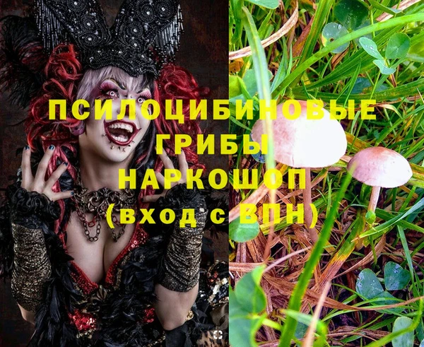 mix Богородск