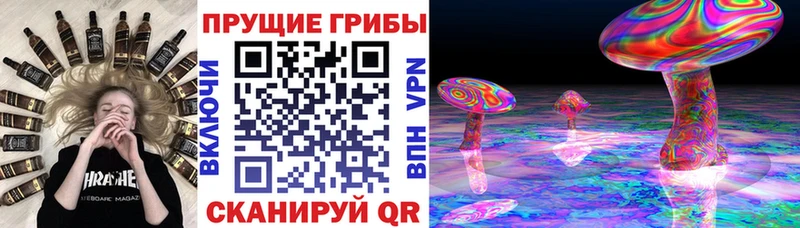 Псилоцибиновые грибы MAGIC MUSHROOMS  Красногорск 